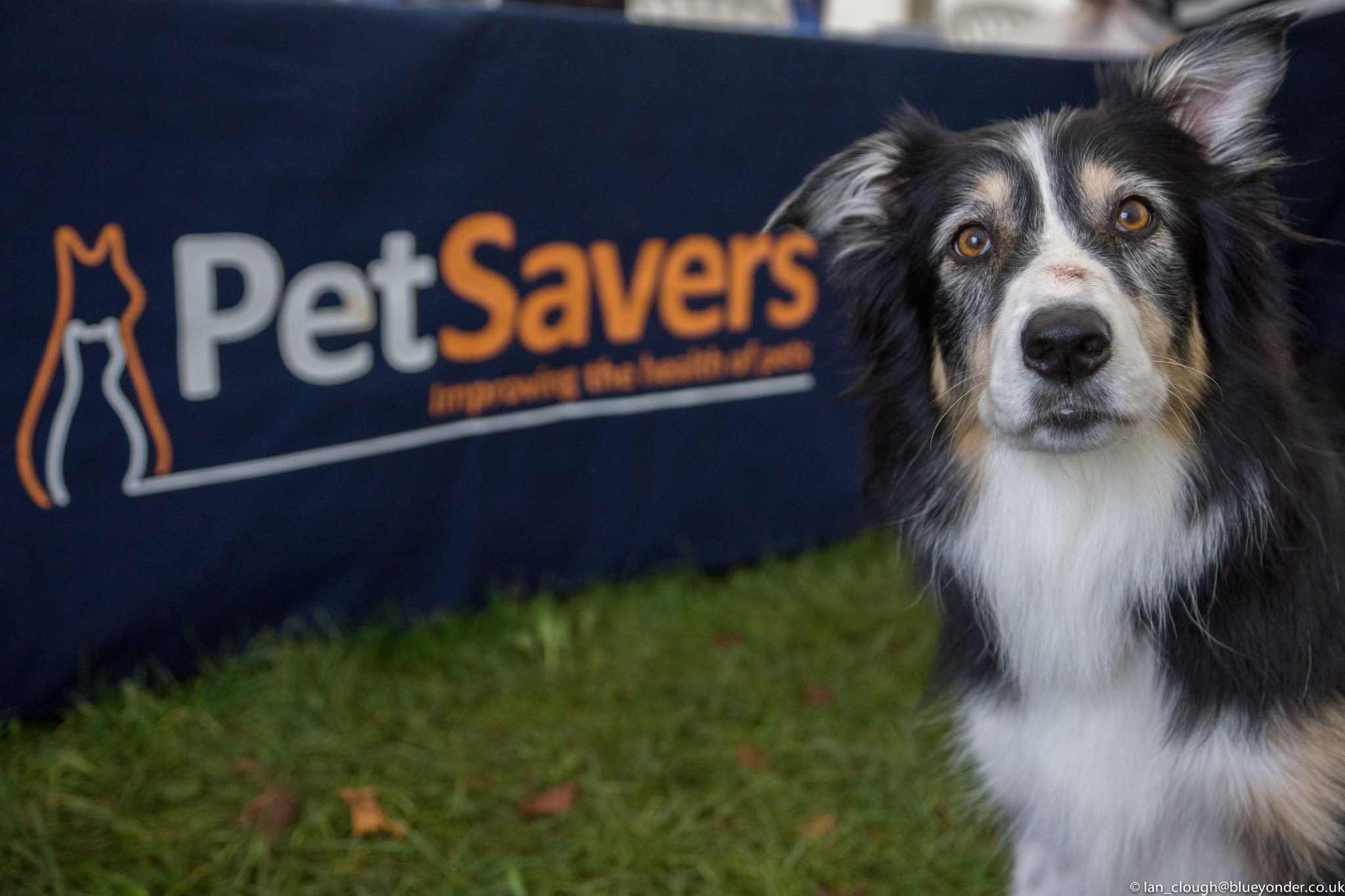 10658852_694657150630586_1099433421111797751_o