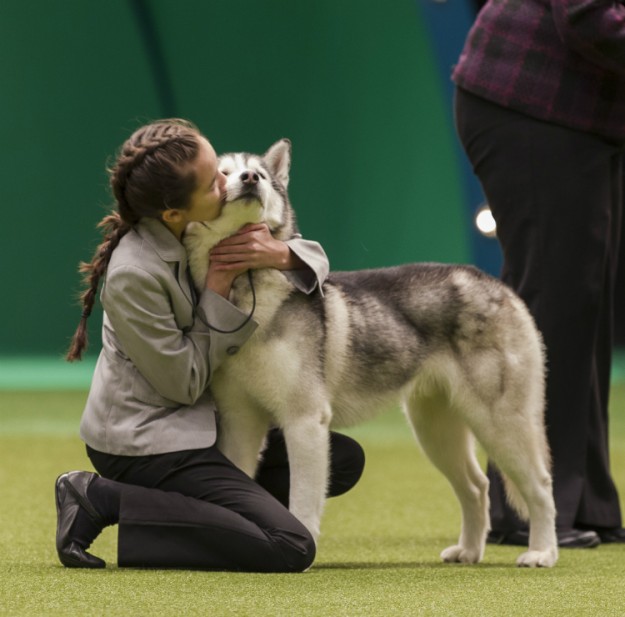 crufts12LCE_08_1753_23616