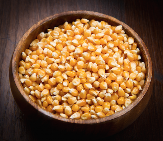 Grain Maize